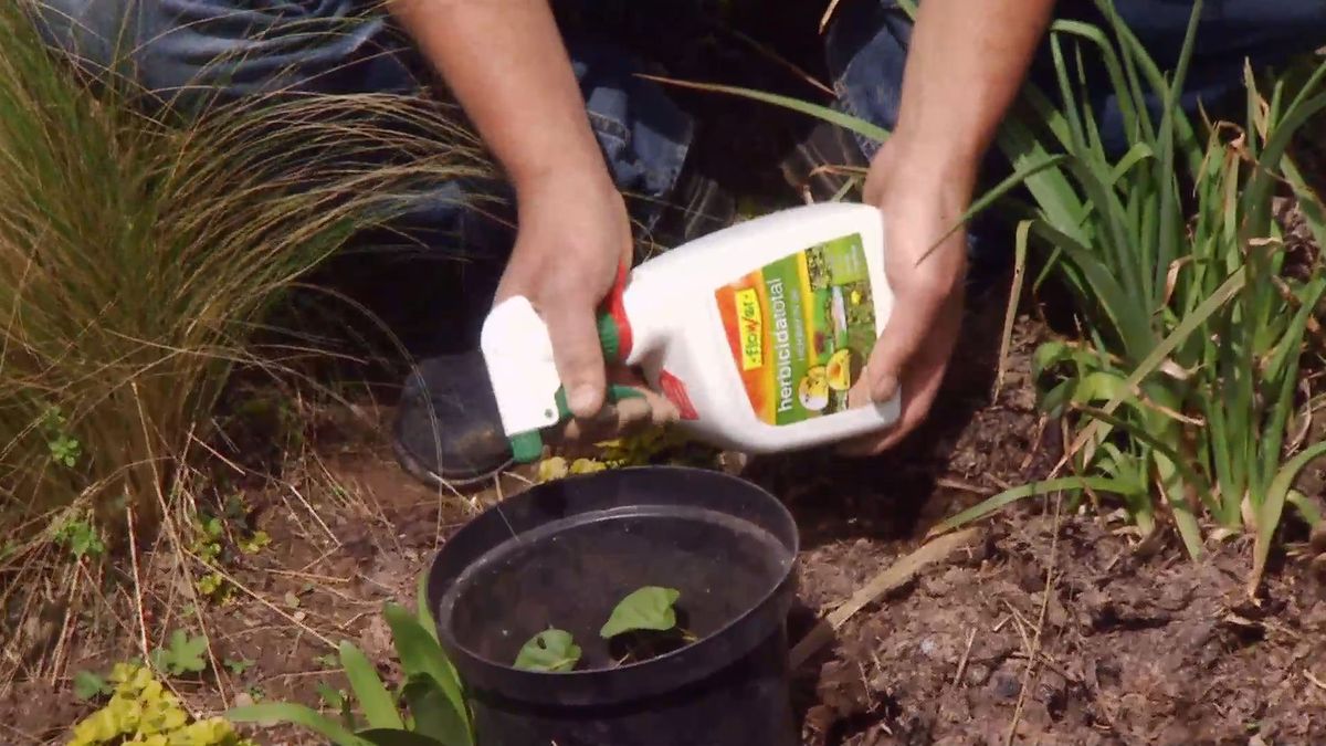 deco 658 herbicidas cesped jardin aplicar herbicida
