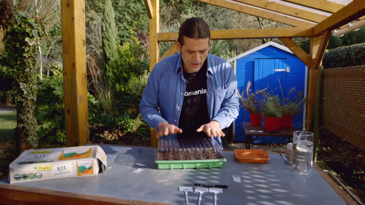 brico 0899 como hacer semillero hortalizas paso 8