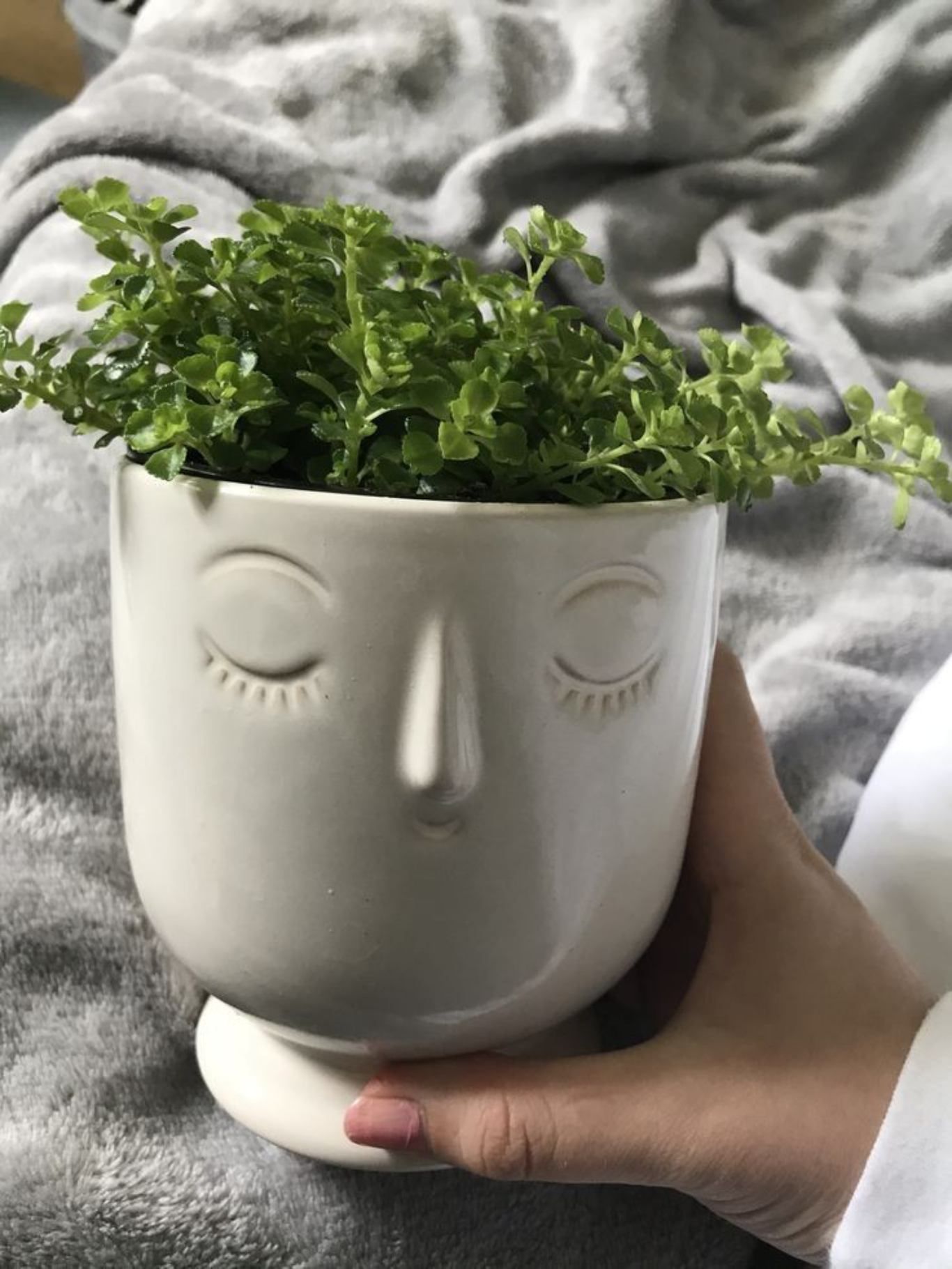 Maceta con cara.