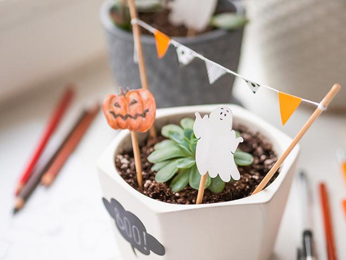 manualidades halloween decorar plantas resultado final