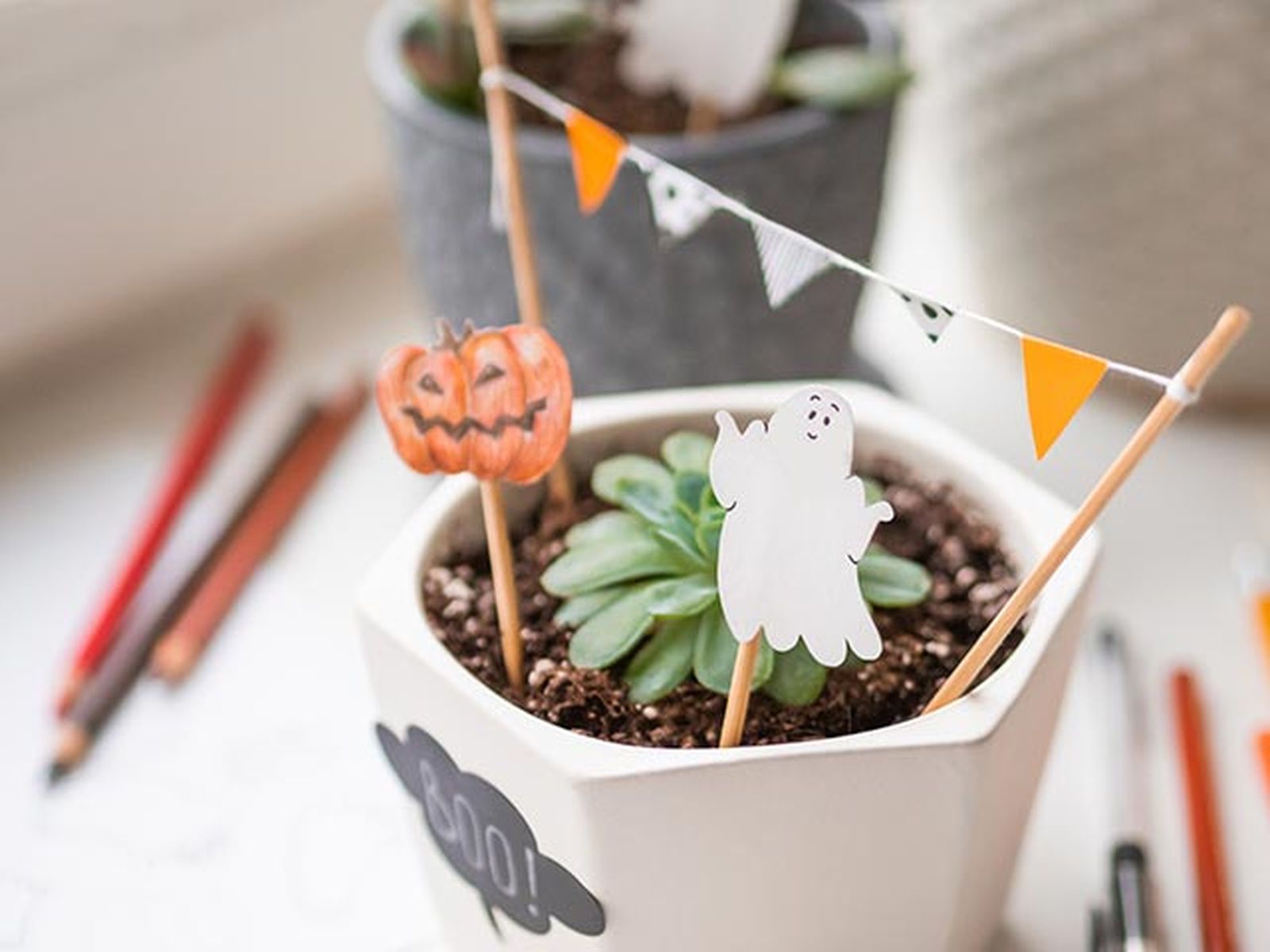 manualidades halloween decorar plantas resultado final