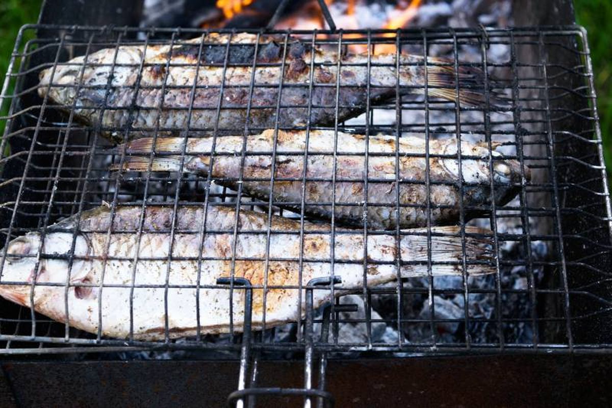 Las parrillas de pescado, el mejor accesorio para cocinar a la brasa y que no se peguen