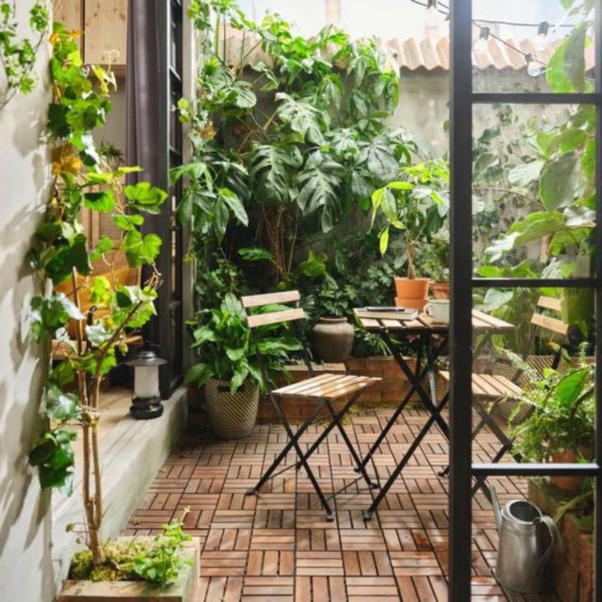 jardin pequeno costilla