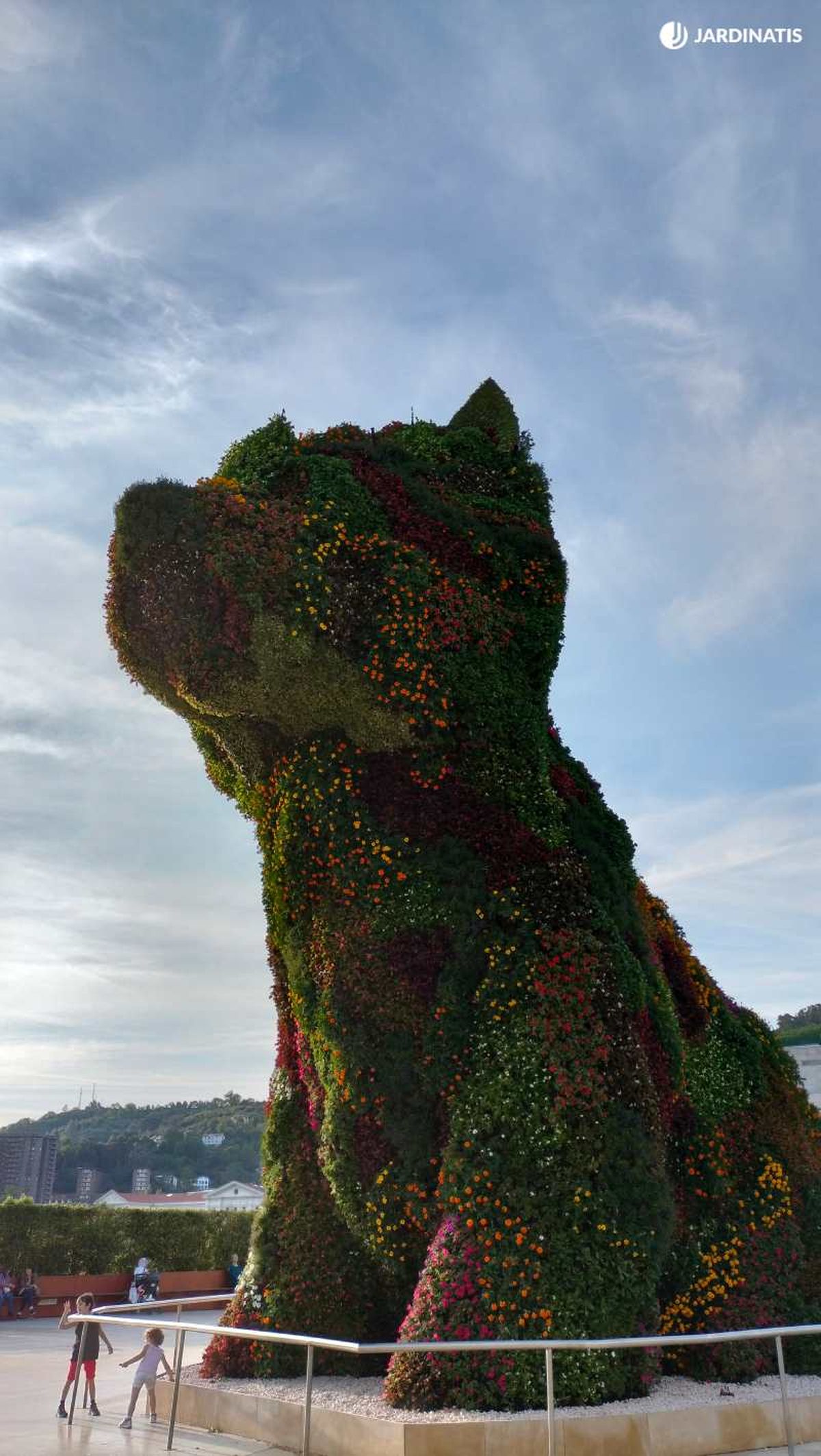 Puppy mide 12,4 metros