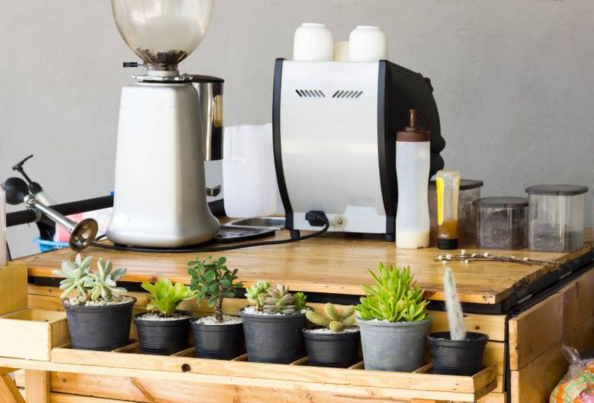 Rincón de café en casa decorado con plantas.