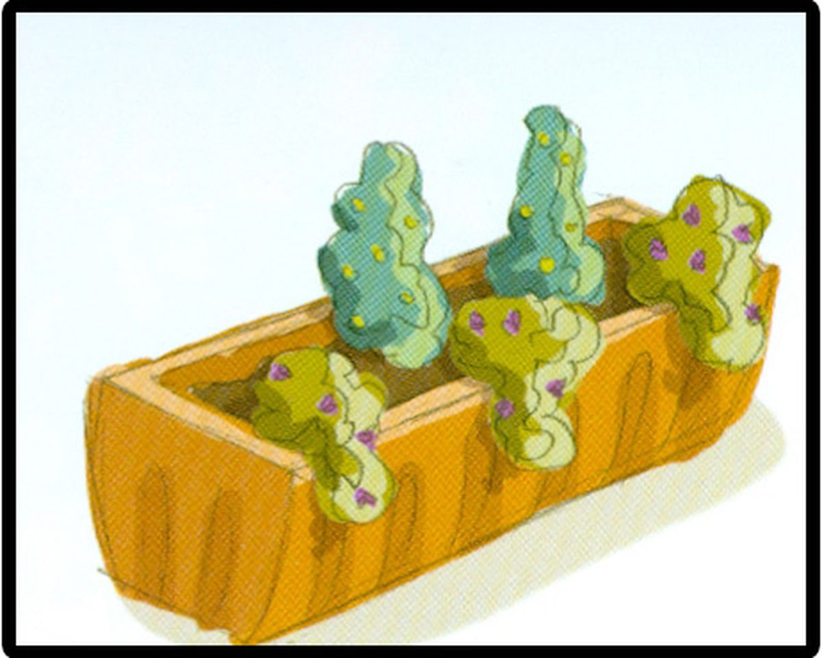 Esquema de plantación 5