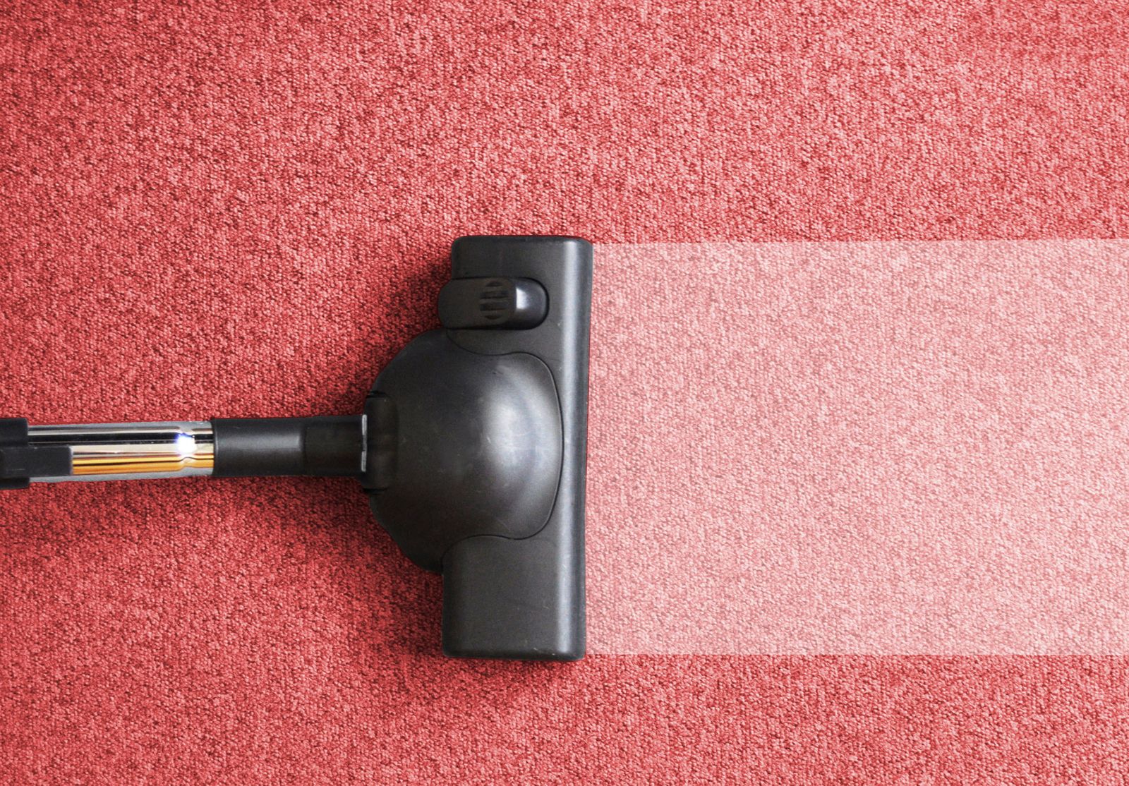 aspirar alfombras moquetas xl