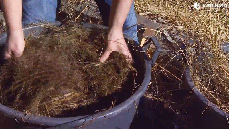 Compost de paja