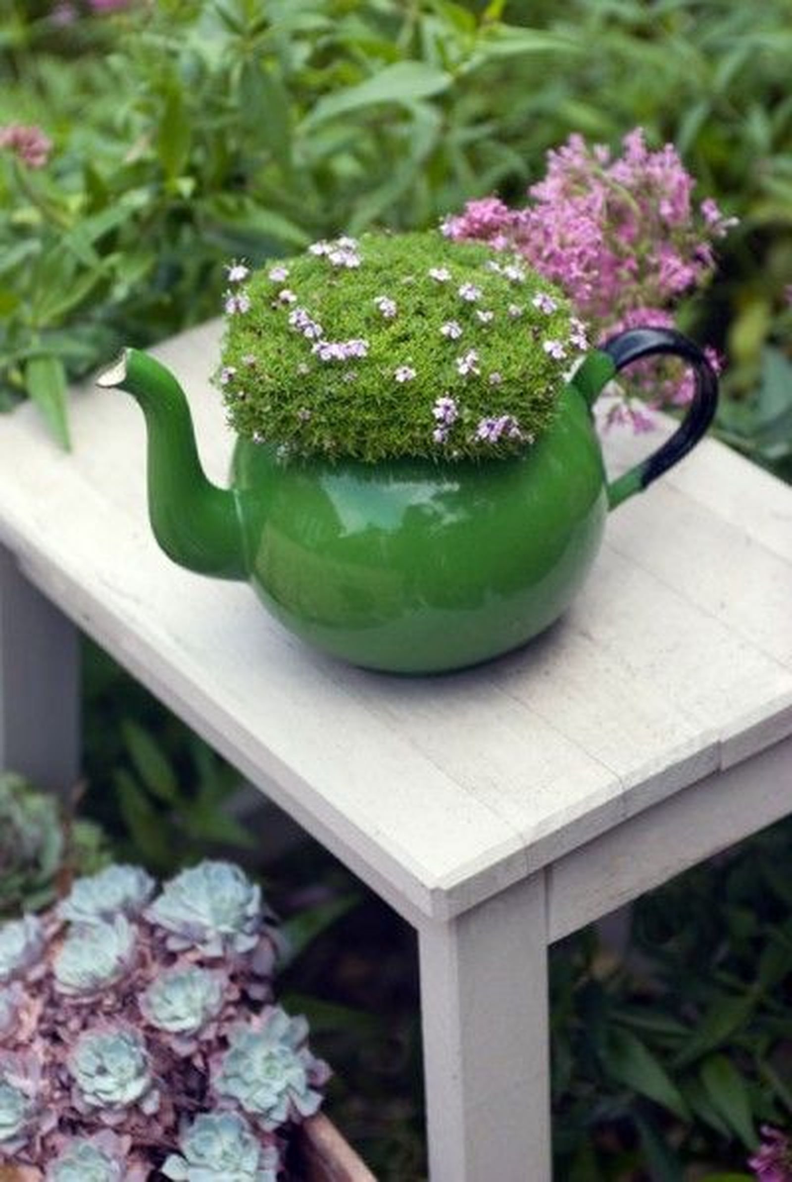 Que el color combine con la planta