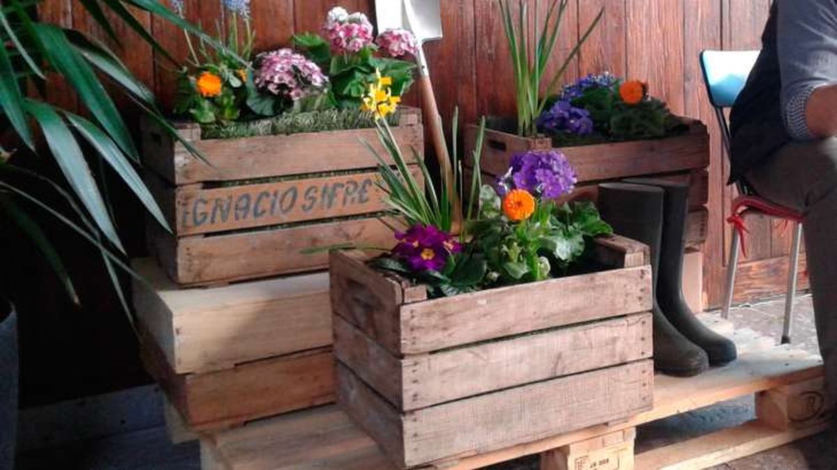 reutilizar huacales 6