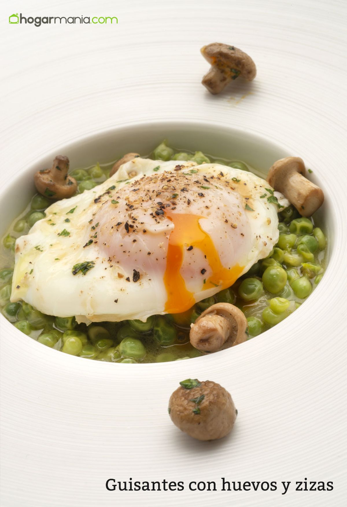 6166 1 Guisantes con huevos y zizas vertical xl