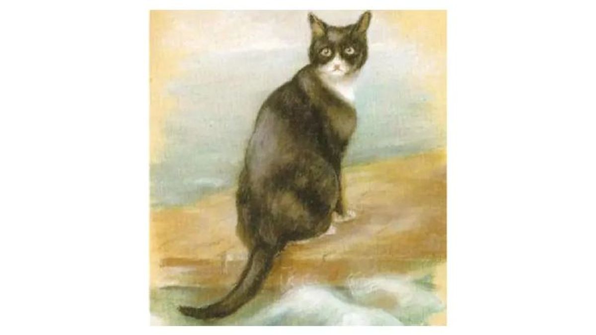 sam el insumergible 2