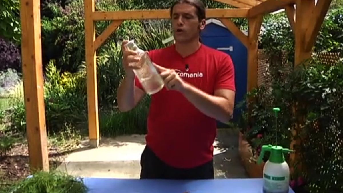 brico 709 jardin fumigar insecticidas ecologico planta del tabaco macerar