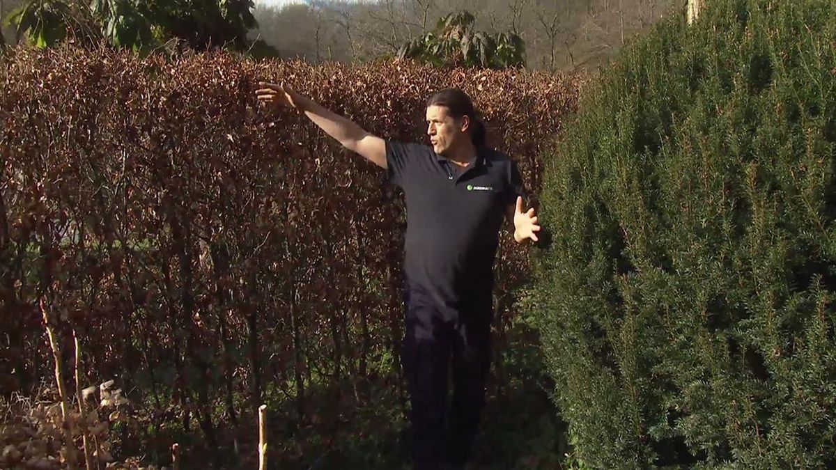 deco 764 jardin haya planta estructural