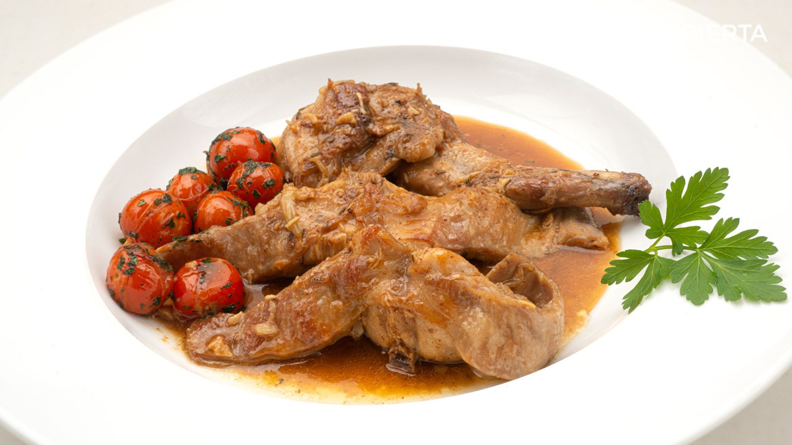 karl6757 conejo ajillo xl