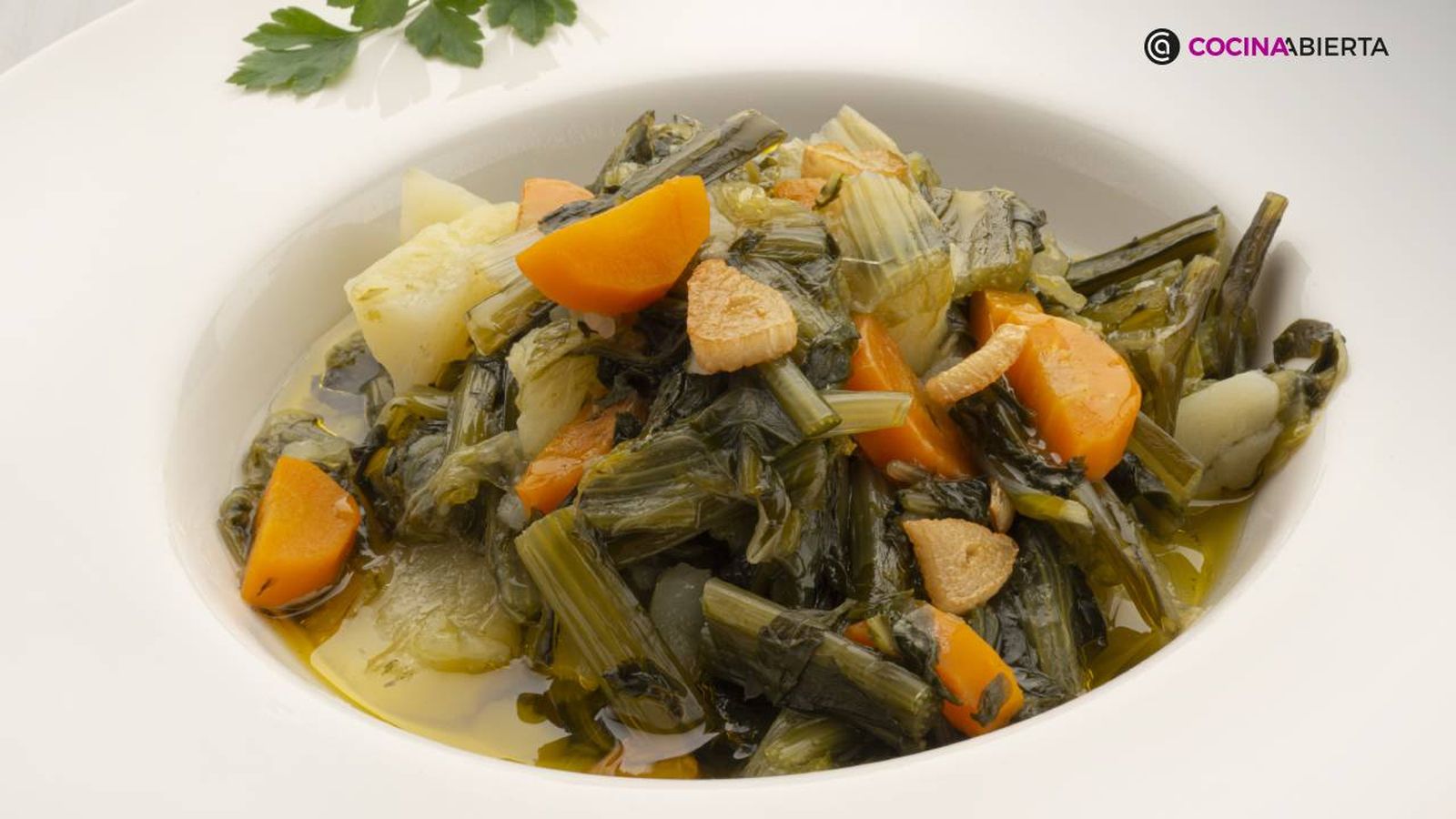 karl7095 achicoria refrito xl