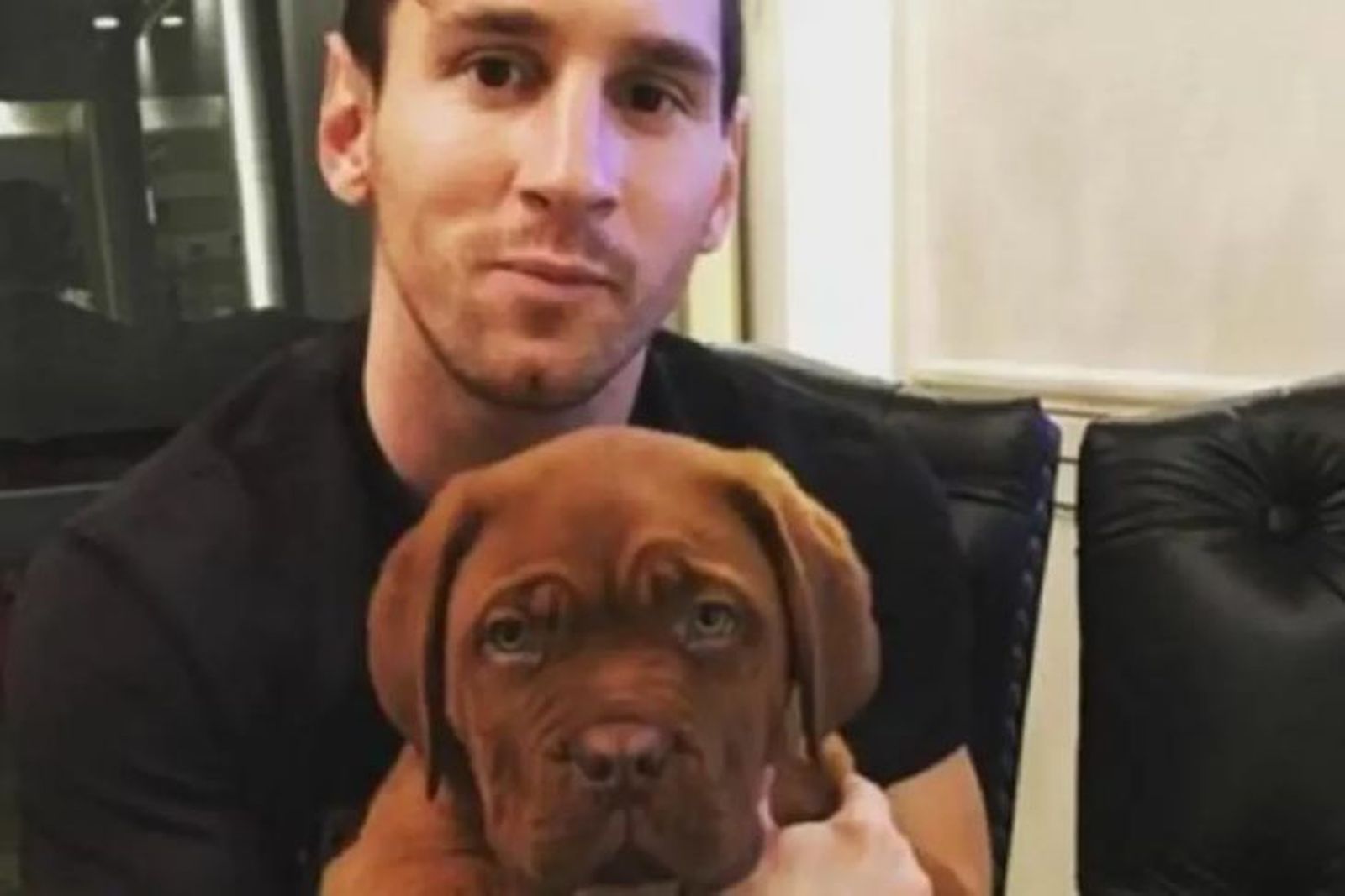 perro de messi 1