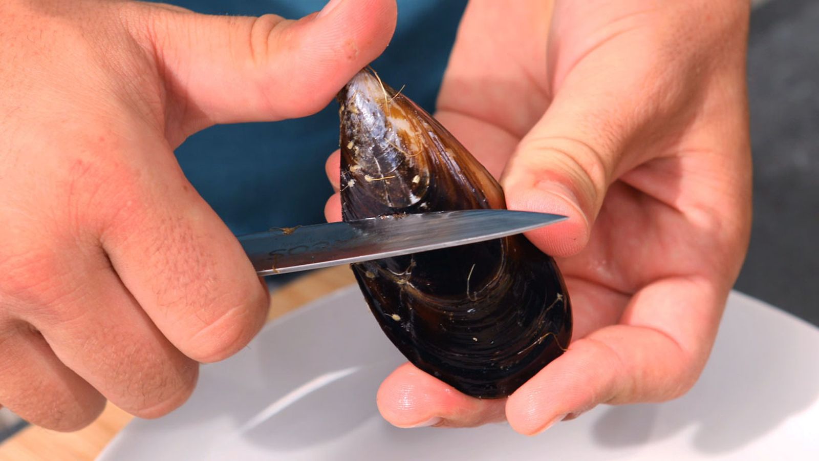 Cómo limpiar mejillones  paso a paso