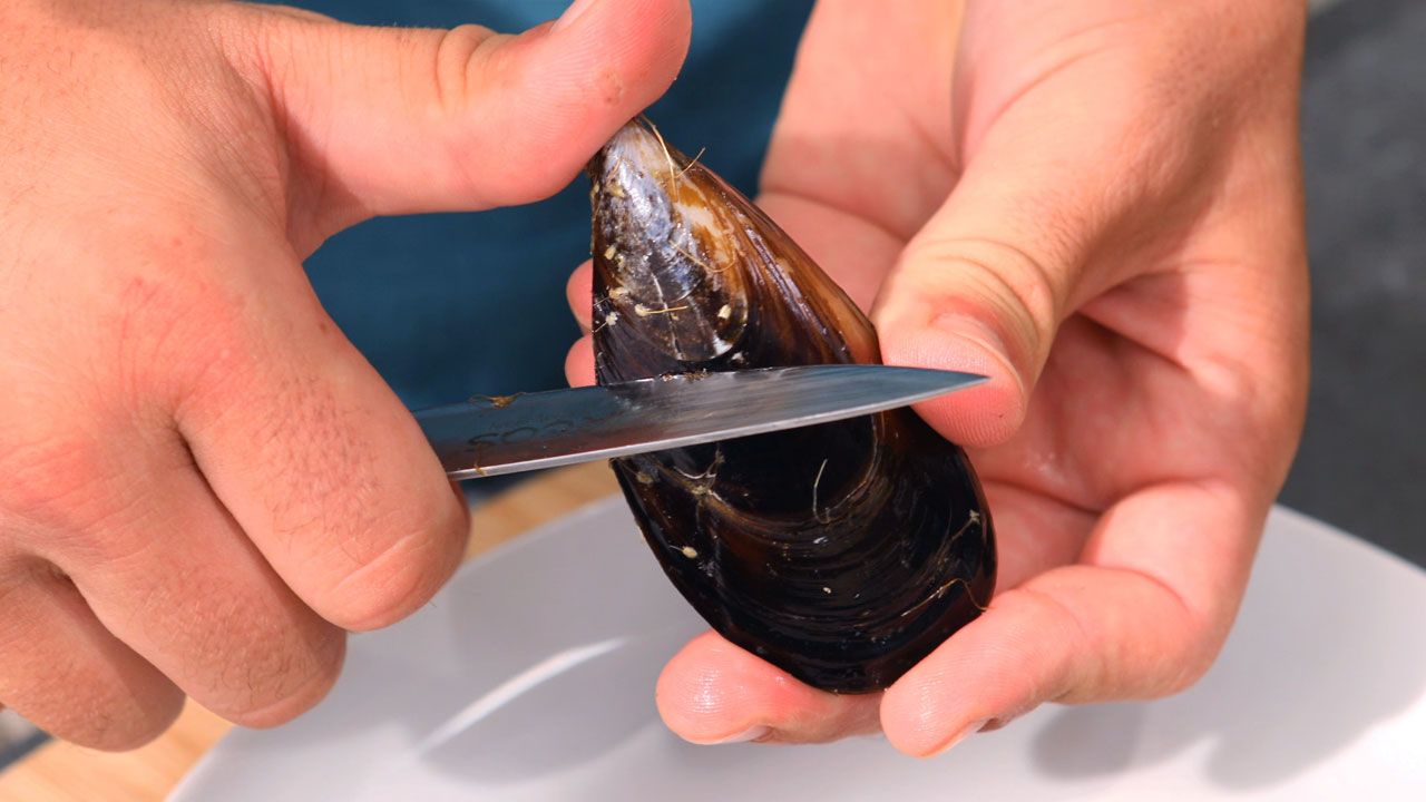 Cómo limpiar mejillones  paso a paso