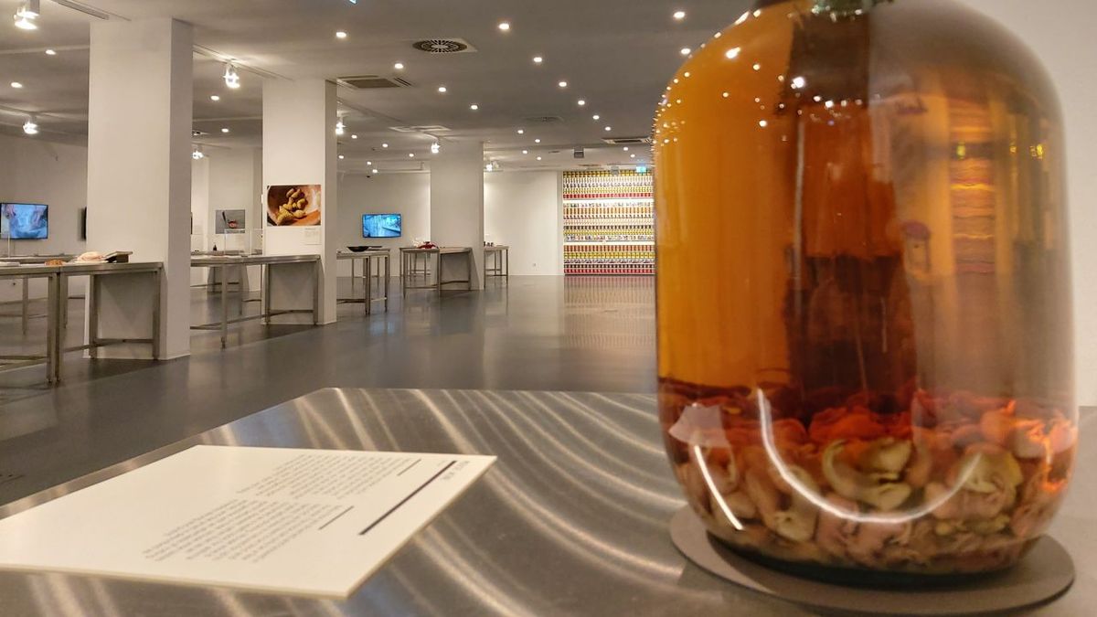 Los Museos de Comida Asquerosa desafían los límites del asco de sus visitantes