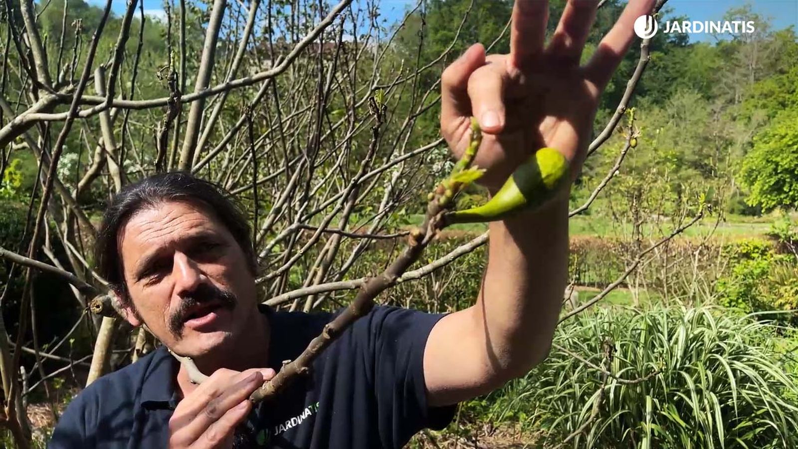 heladas tardias en primavera jardinatis 22 13