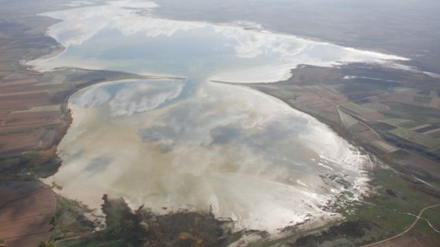 reserva natural de la laguna de gallocanta gobierno aragon