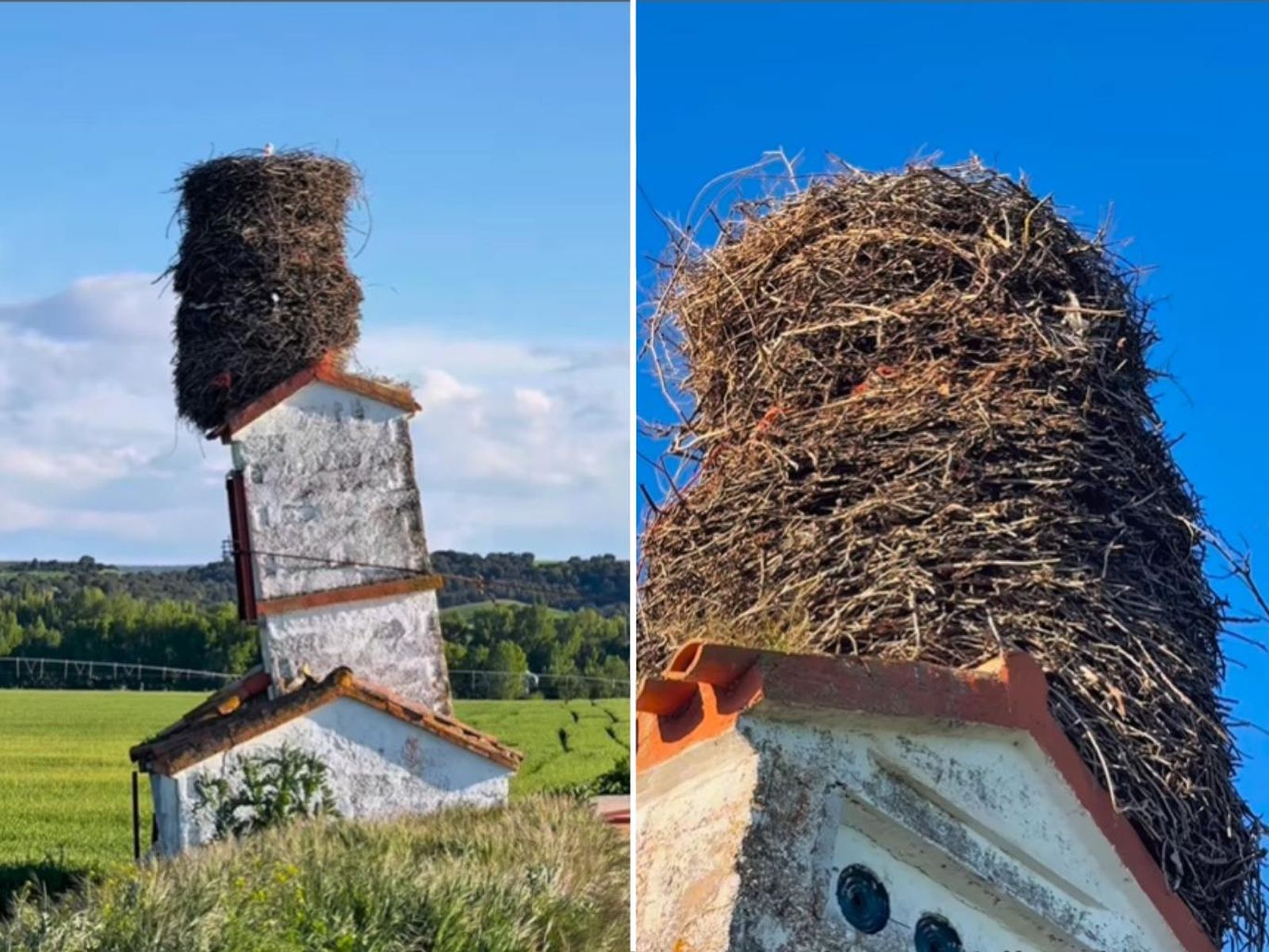 Nido de cigüeña en una torre inclinada