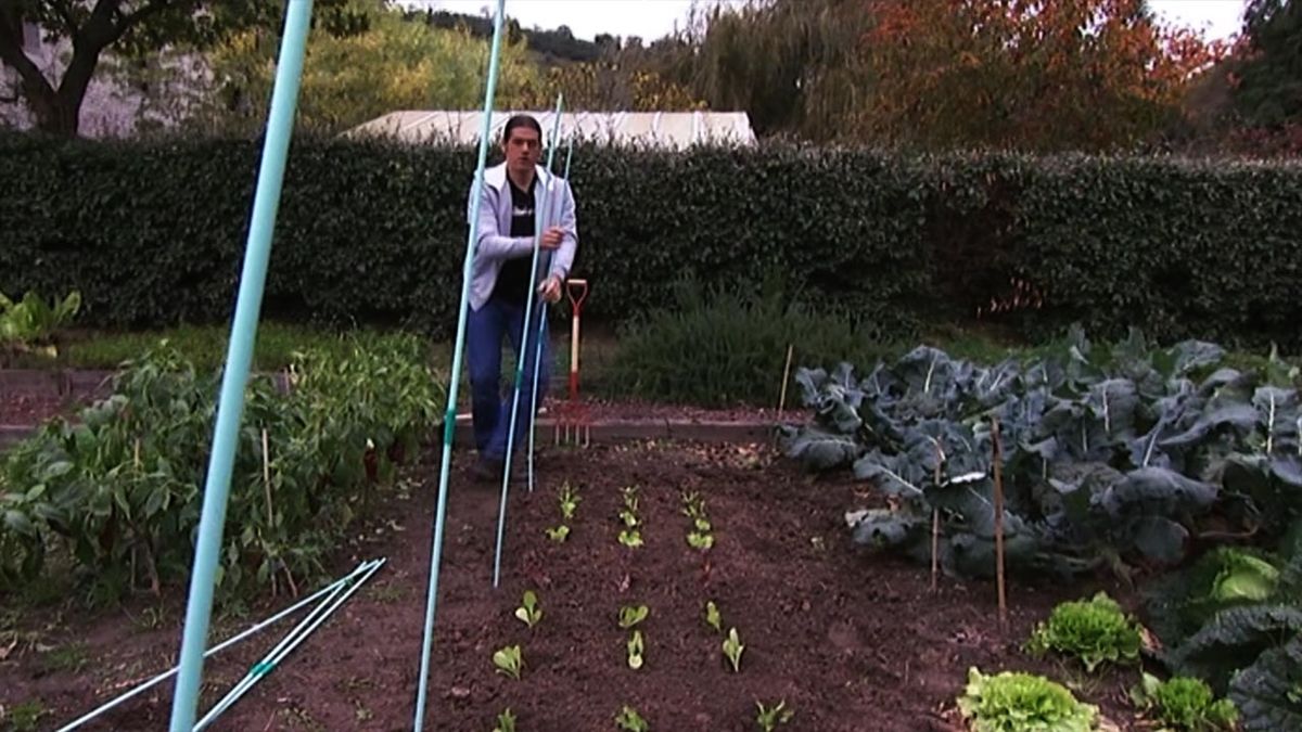 como instalar invernadero en la huerta paso 3 brico 621