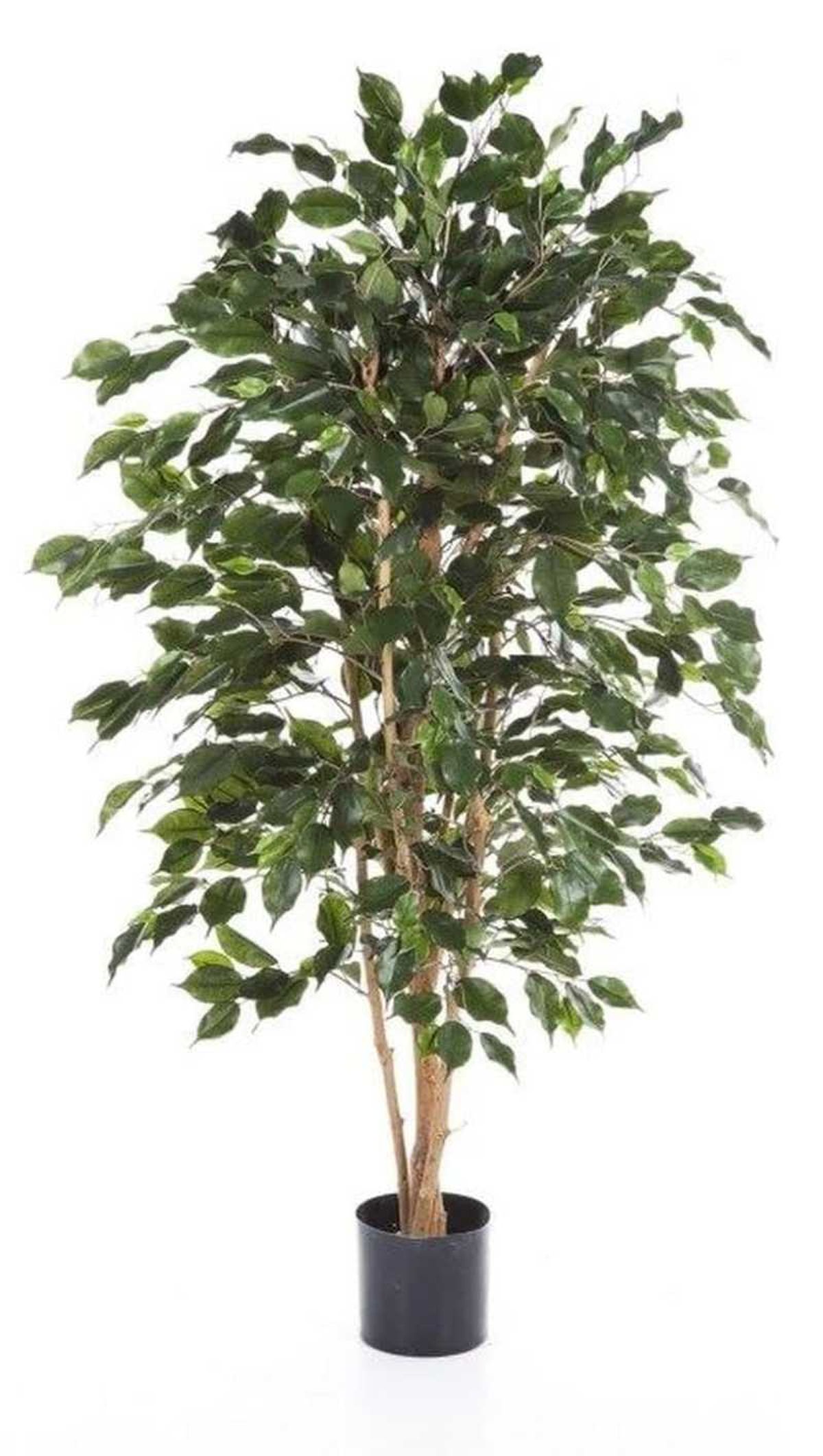 Ficus benjamina artificial ignífugo.