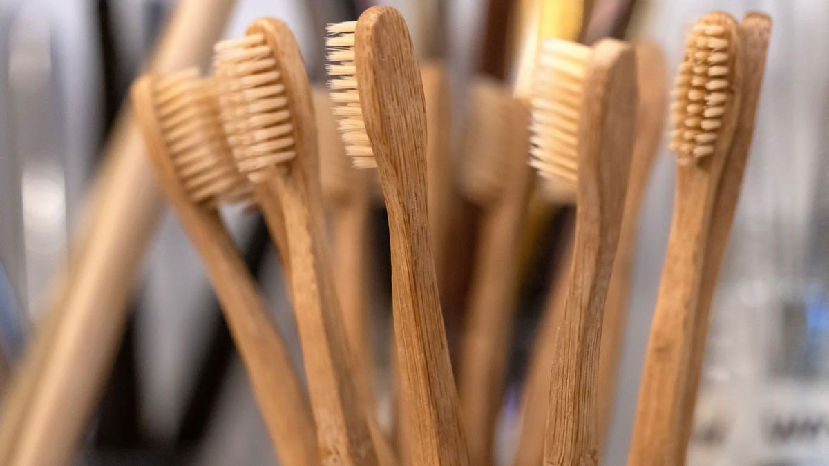 cepillos bambu