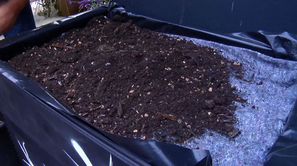 Tejado con cubierta vegetal paso 5