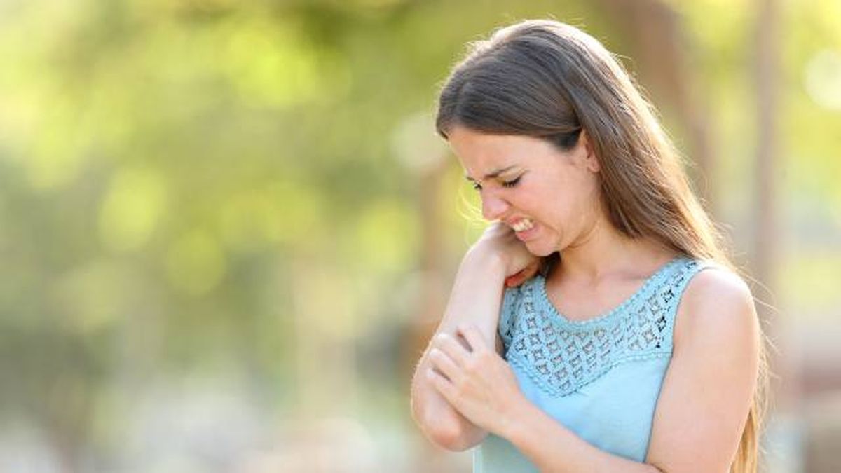 polvos de talco picadura insecto