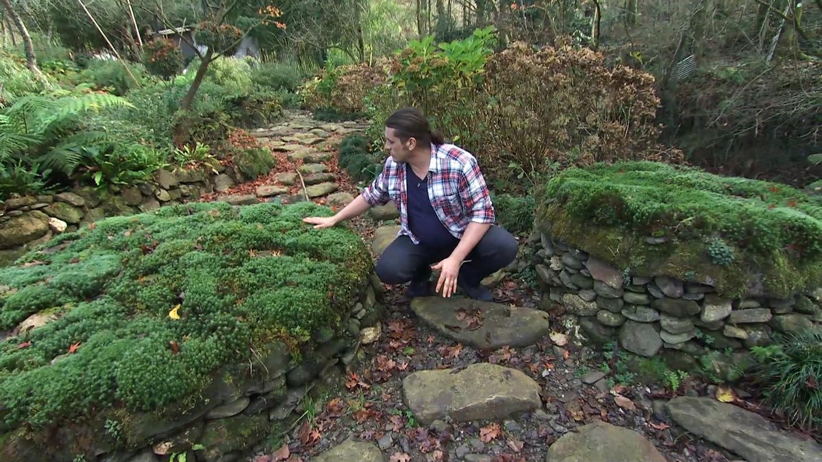 deco724 jardin musgos xl