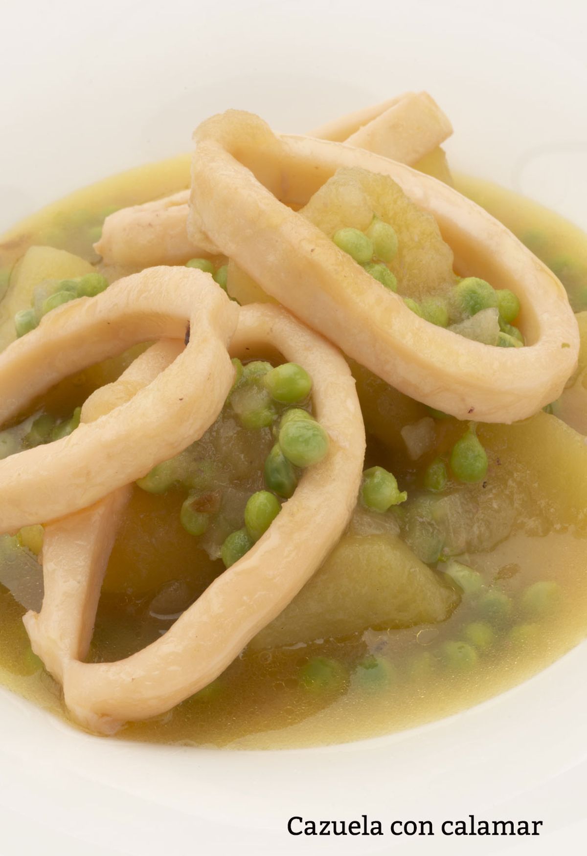 cazuela calamar vertical