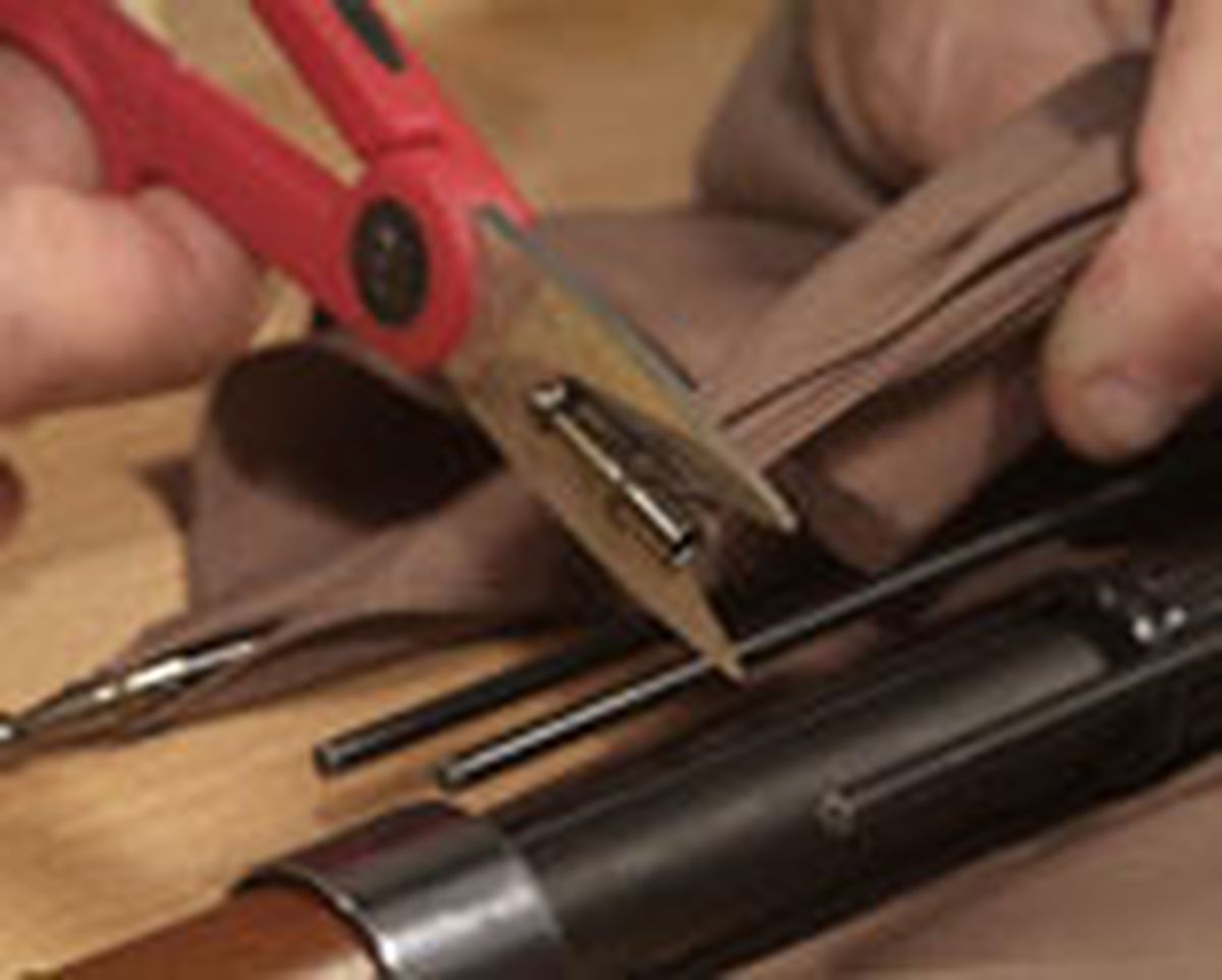 436(85) Abeto paraguas paso1