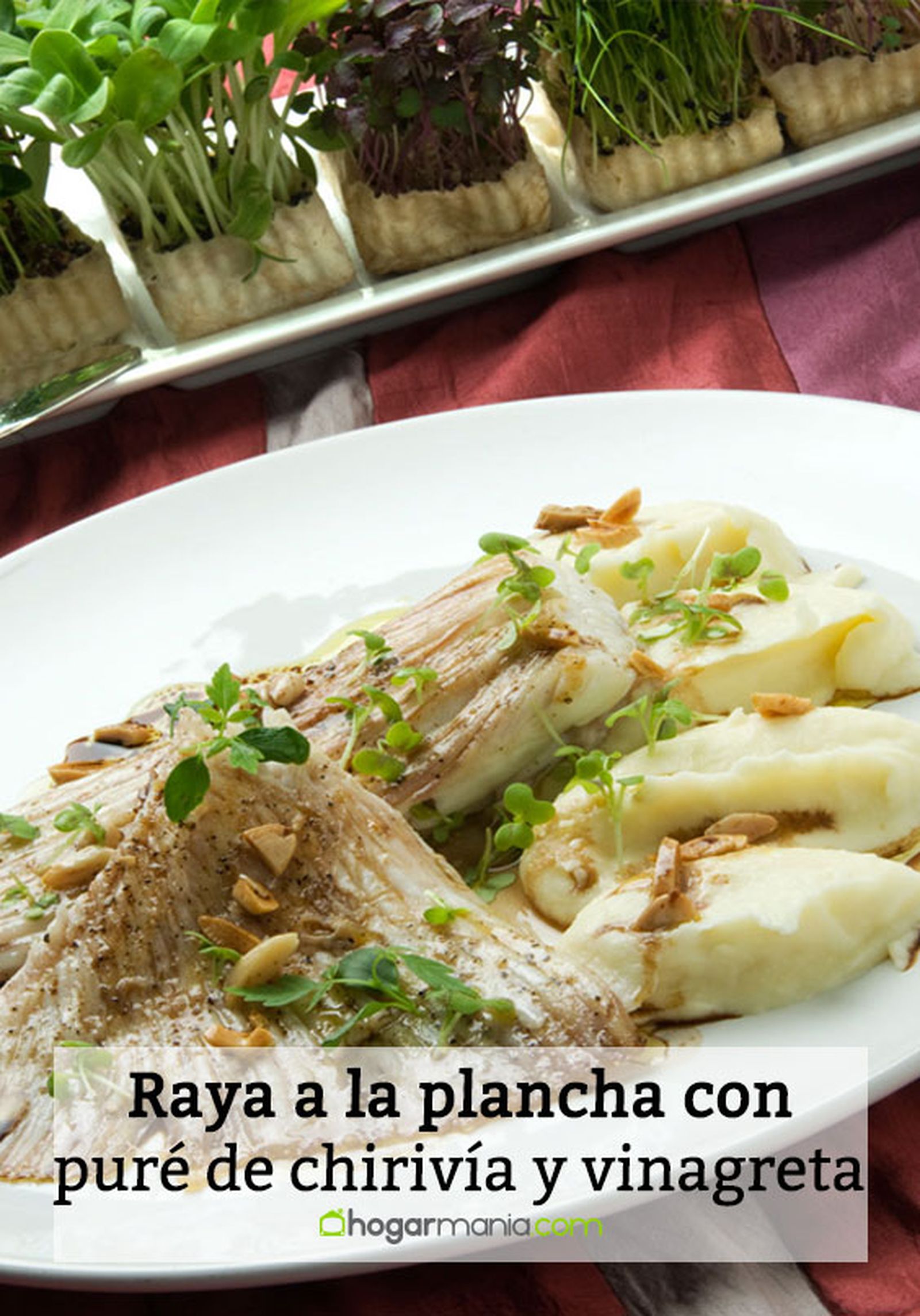 1294 raya a la plancha con pure de chirivia y vinagreta tibia pin