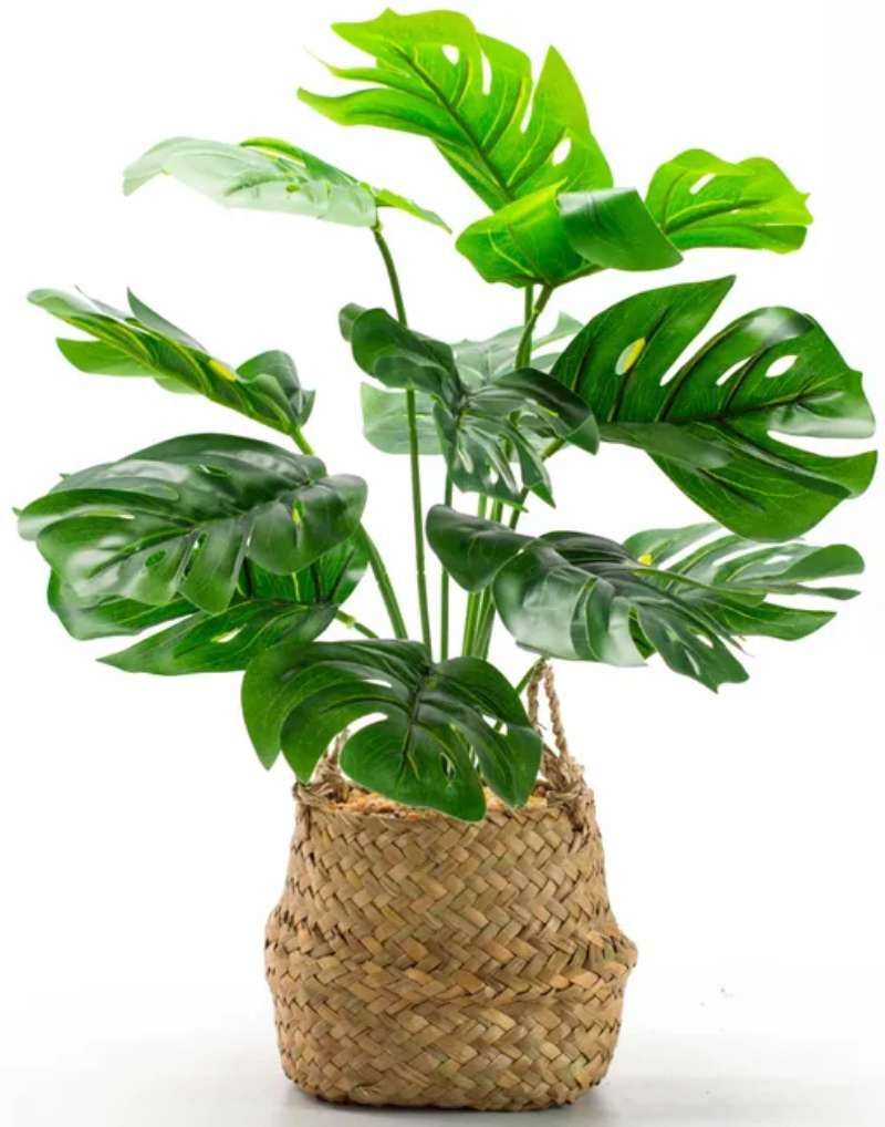 Monstera o Costilla de Adán artificial de Leroy Merlin.