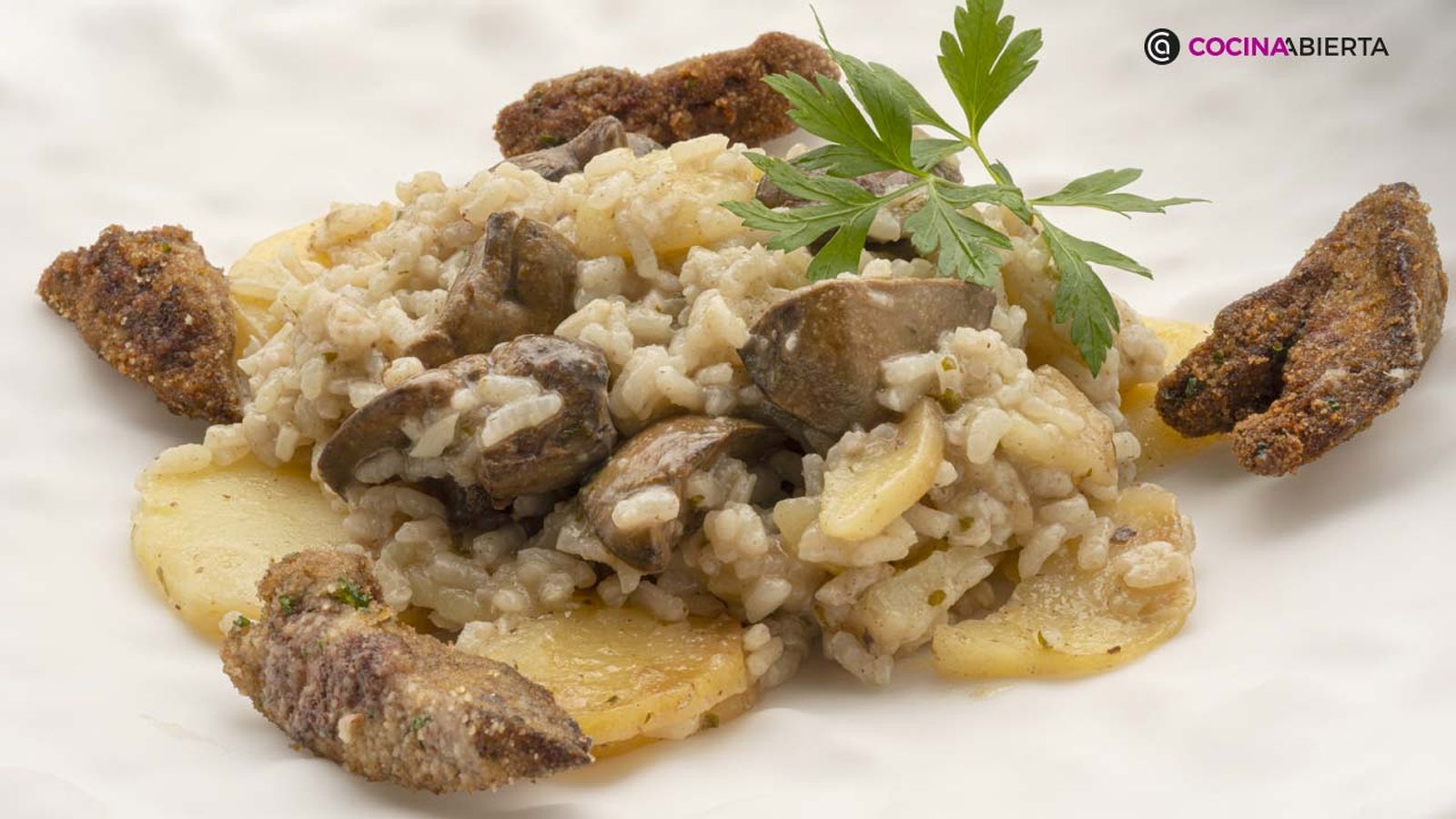 KARL7036 arroz higaditos xl