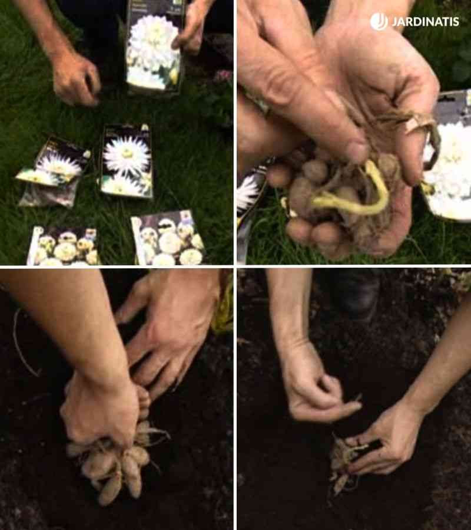 Nunca escatimes en la utilización de sustrato de plantación