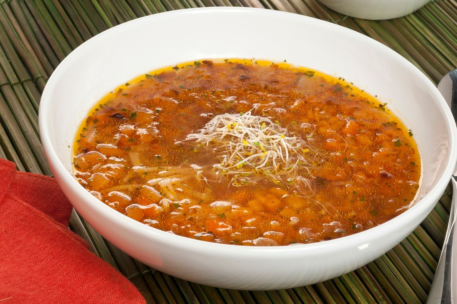 brun1218 402 Sopa de calabaza zanahoria e hinojo