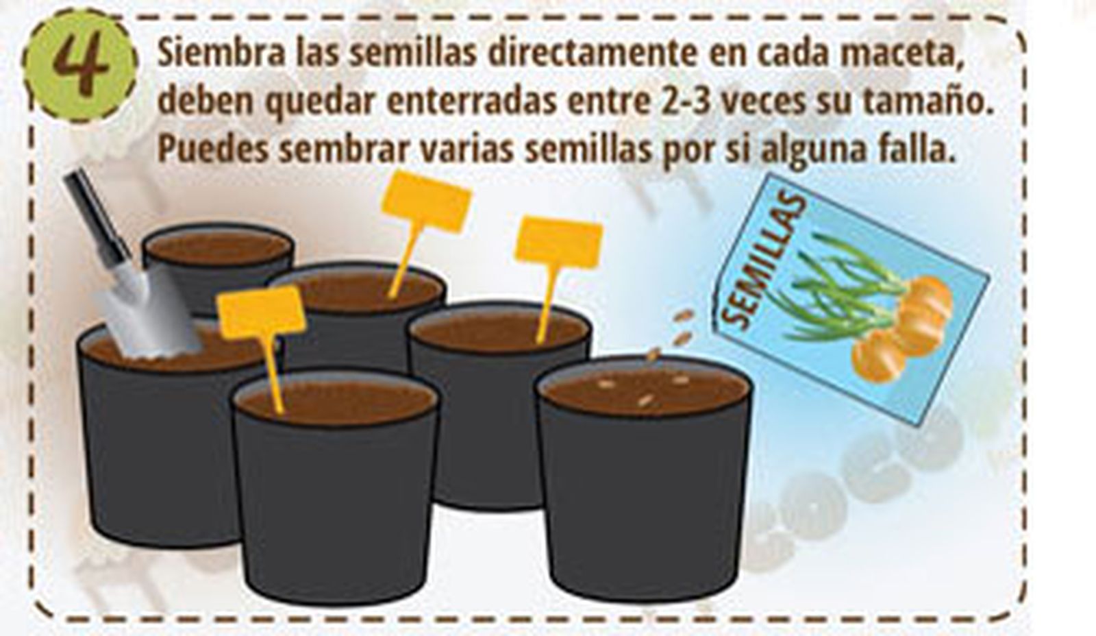 Siembre directa 4