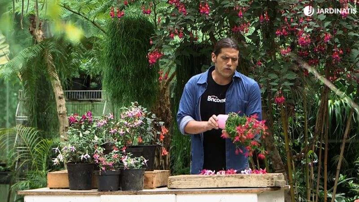 Suelen venir bastante forzadas en el contenedor