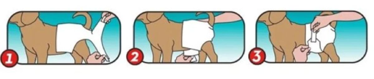 panales para perros instrucciones 4