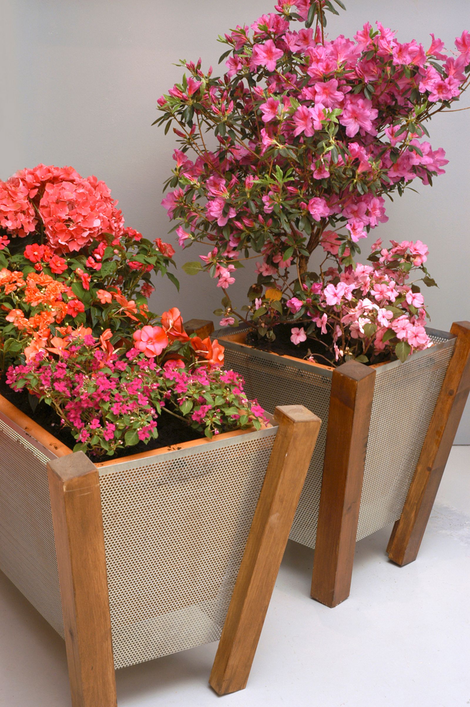 decorar un balcon situado al norte xl