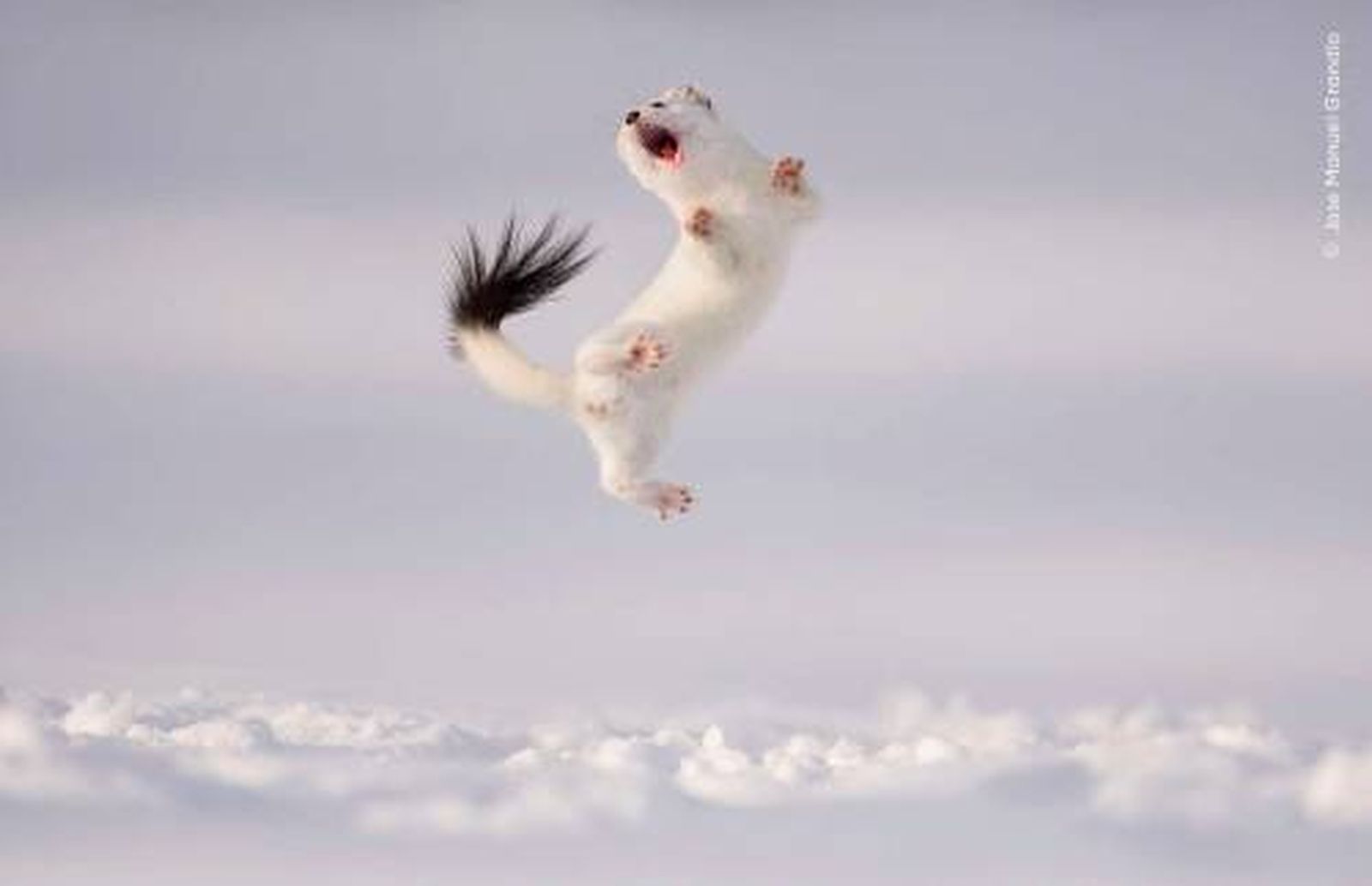 Twist and Jump.