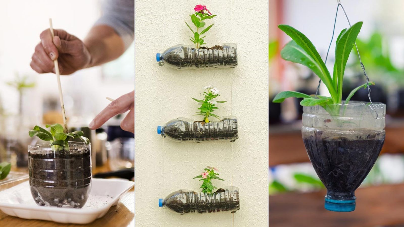 maceteros originales con botellas plastico xl