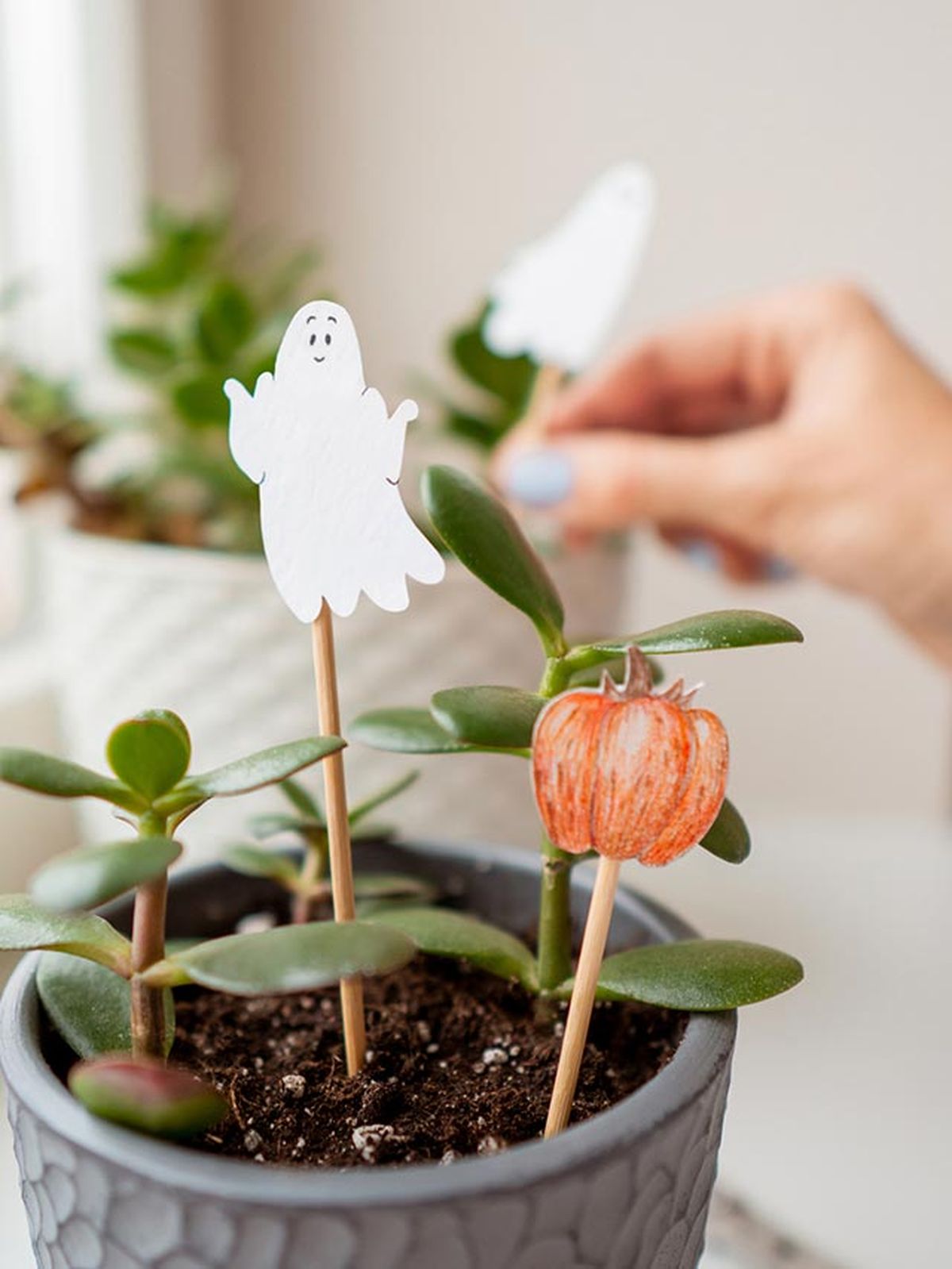 manualidades halloween decorar plantas interior palitos
