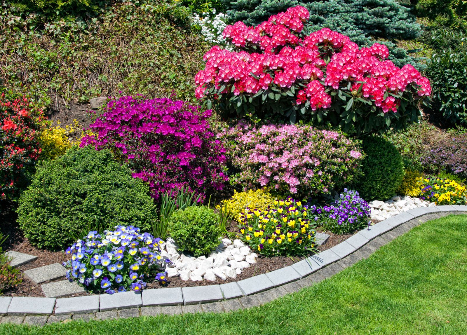 3 arbustos para principios de primavera