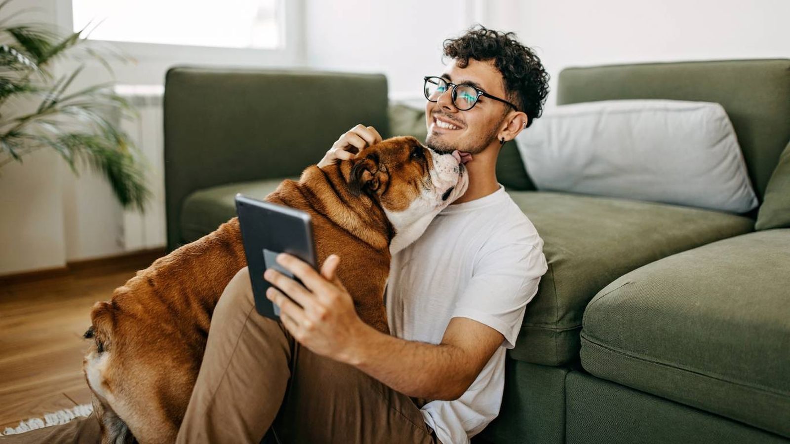 Disfrutar de la compañía de una mascota en un piso de alquiler es posible si el contrato lo permite.