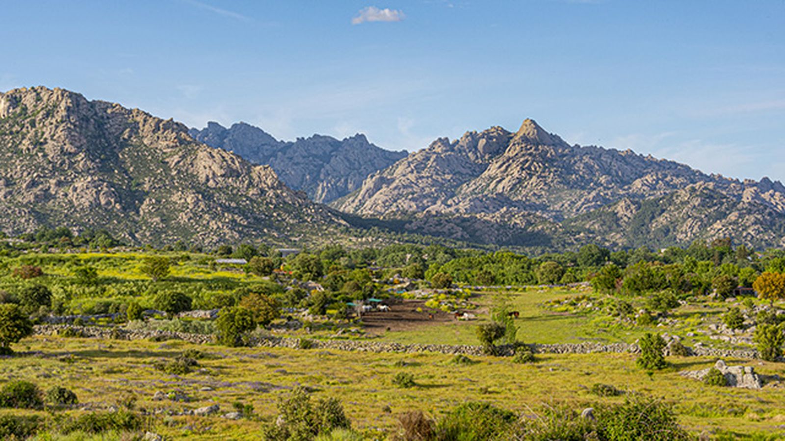 parque nacional de la sierra de guadarrama